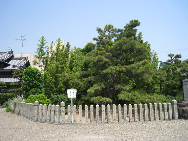 d0287413_9193918.jpg