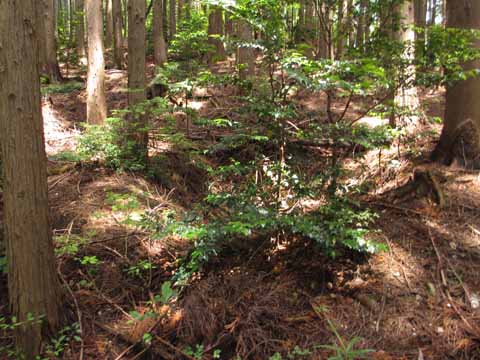 e0293913_2210366.jpg