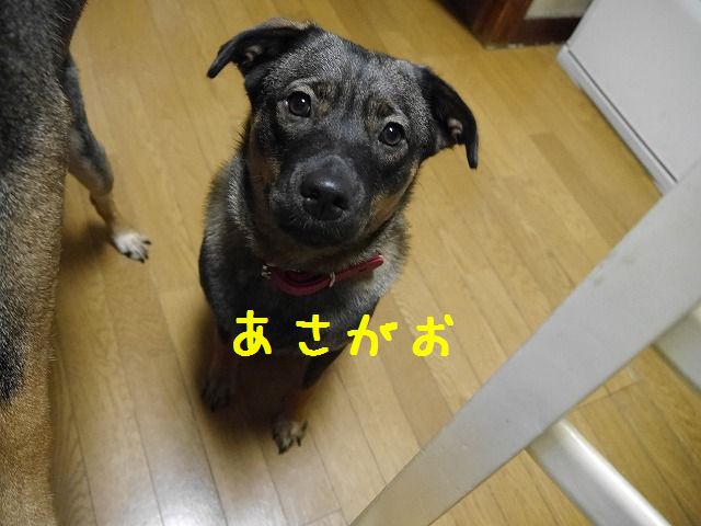 f0282319_1864771.jpg