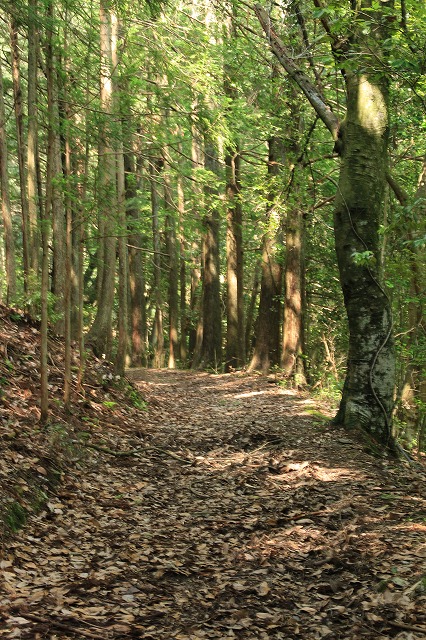 三瀬砦跡と三瀬坂峠道を散策_e0321325_1012666.jpg