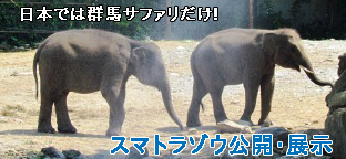 a0054926_22405418.png