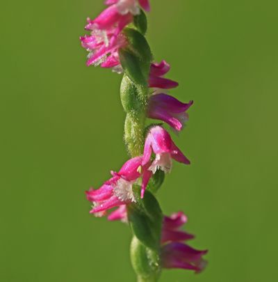 c0104227_8582393.jpg