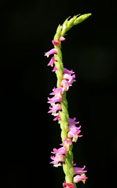 c0104227_8585100.jpg