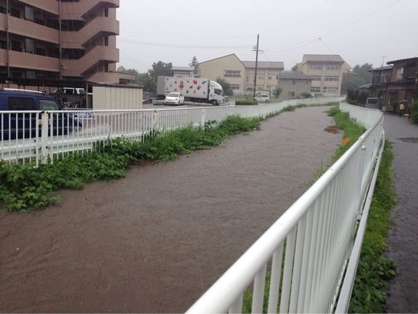 『南川』河川改修状況と自然災害_b0199244_2113246.jpg
