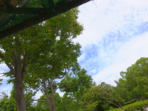 c0122744_1756674.jpg