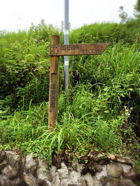 熊野古道@風伝峠コース_e0292546_4225437.jpg