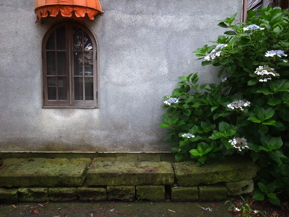 e0009147_19383578.jpg