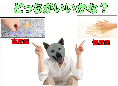 b0151748_11260059.png
