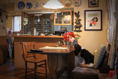 c0145250_11352440.gif