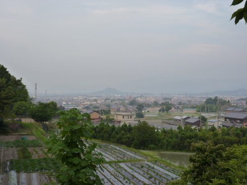 下関の郷土料理「瓦そば」、奈良県葛城市にて_f0337357_17383292.jpg