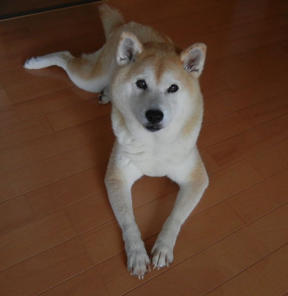 ’14,7,10(木)嵐がジワジワと近づいているよ!_f0060461_9323213.jpg