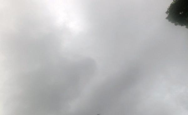 d0255763_6171097.jpg