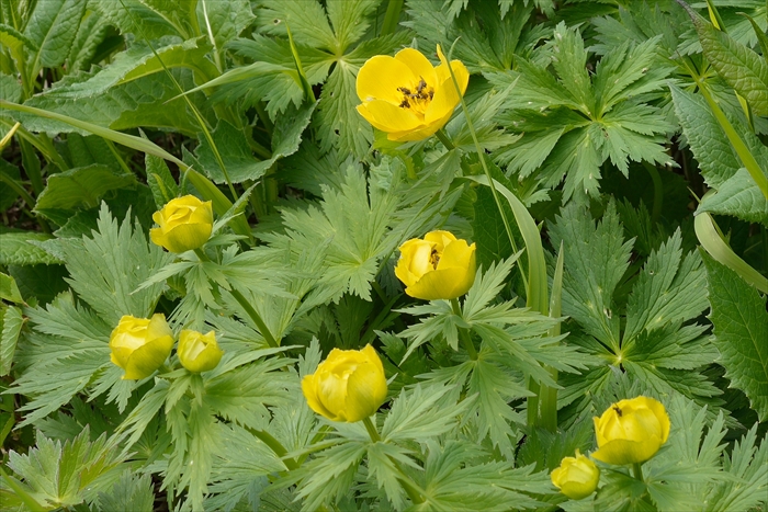 b0281366_12132250.jpg