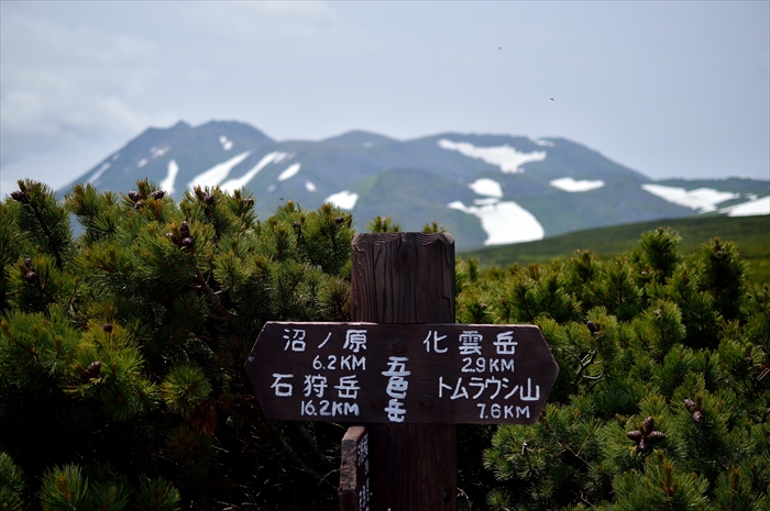 b0281366_13182303.jpg