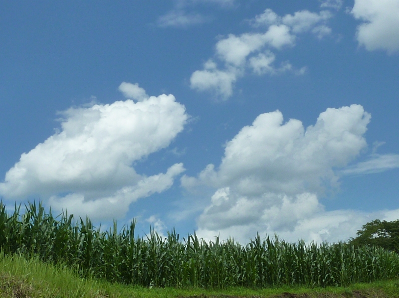 f0350468_11275400.jpg