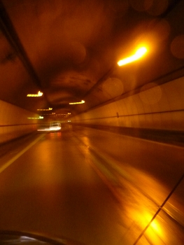 f0350468_11332458.jpg
