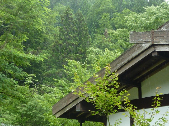f0350468_11472534.jpg