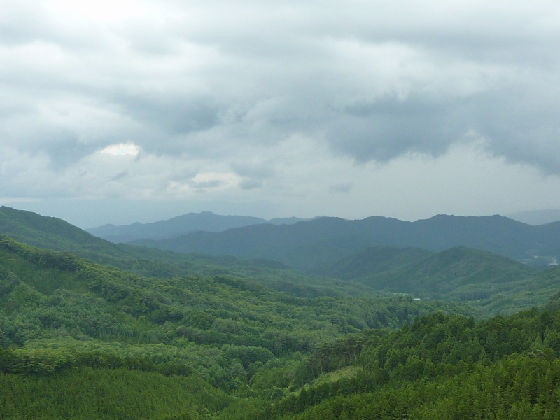 f0350468_12060440.jpg