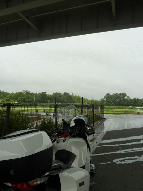 f0350468_13013930.jpg