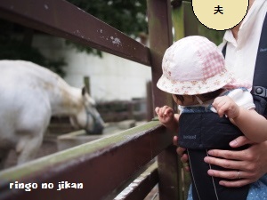 d0290073_22252950.jpg