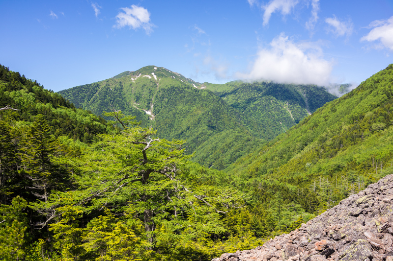 甲斐駒ケ岳 １日目_f0227973_1474566.jpg