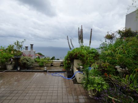 2014年7月10日 台風来るのね~_b0098584_17364184.jpg