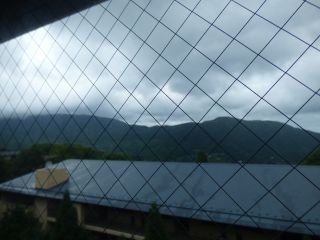 2014年7月10日 台風来るのね~_b0098584_17382393.jpg