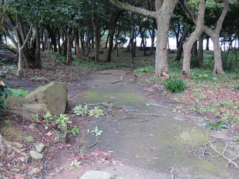 e0197884_22425193.jpg