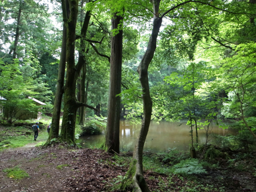 木之本の呉枯ノ峰と菅山寺、醒ヶ井宿のバイカモ。_e0271890_221421.png