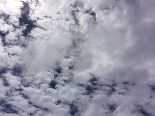 c0151691_133254.jpg
