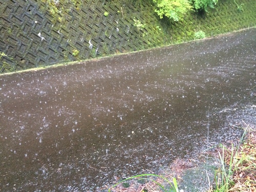 台風接近前に..._f0137499_1214189.jpg