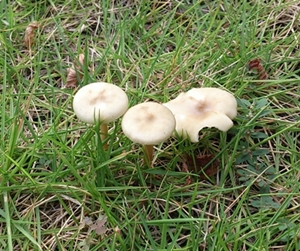 e0289203_11261720.jpg