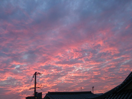 e0289203_1161489.jpg