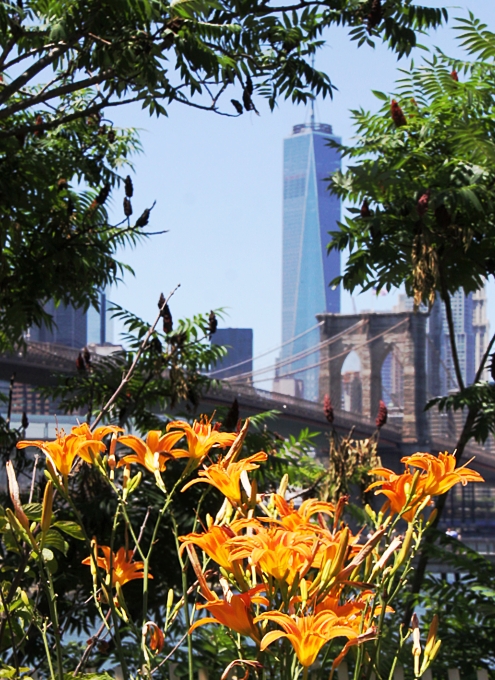 夏のNYのオススメ写真スポットDumbo編(2)：Brooklyn Bridge ParkのEmpire Fulton FerryとMain Street_b0007805_615367.jpg