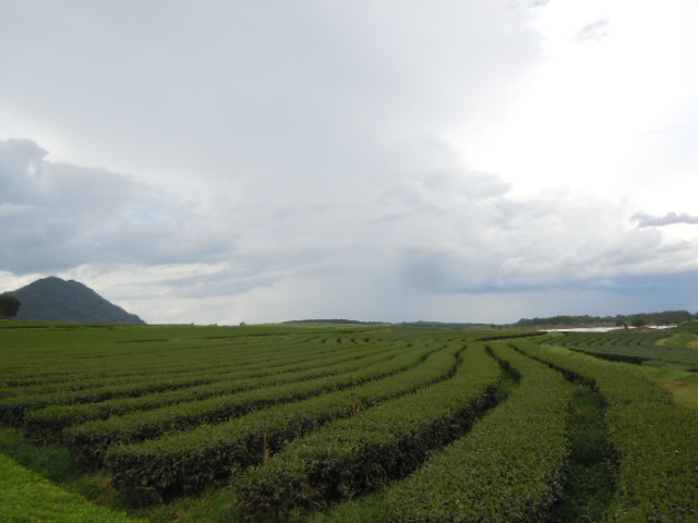 b0330009_13000926.jpg