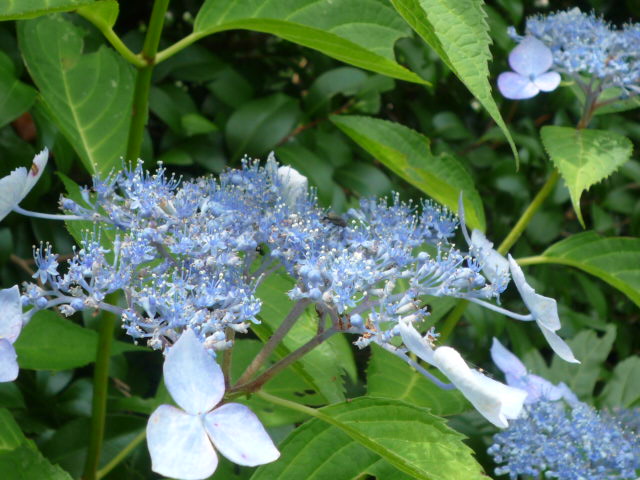 b0259210_16201061.jpg