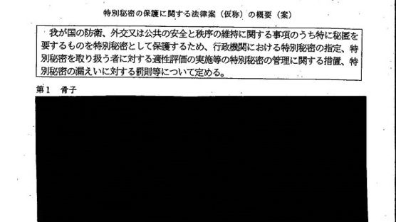 この夏、秘密保護法の運用基準についてパブコメを書こう!_c0241022_10311378.jpg