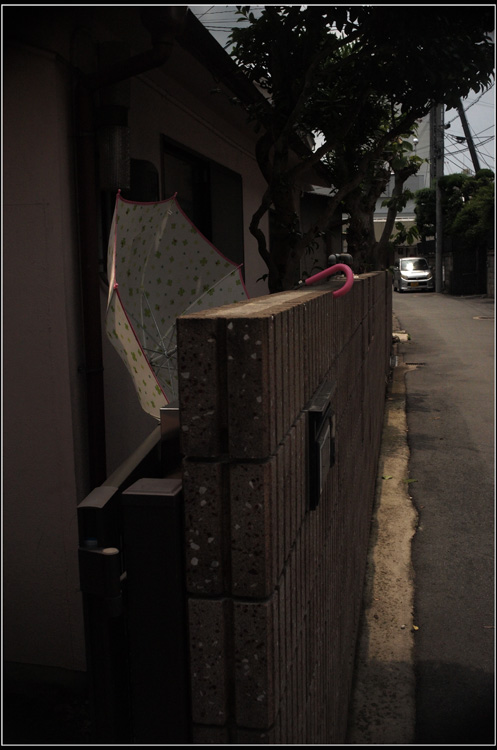 1072 台風の次の日（アポクロマート18mmF2なら真夏の白昼の決闘もしのぎきり）_b0226423_21474290.jpg