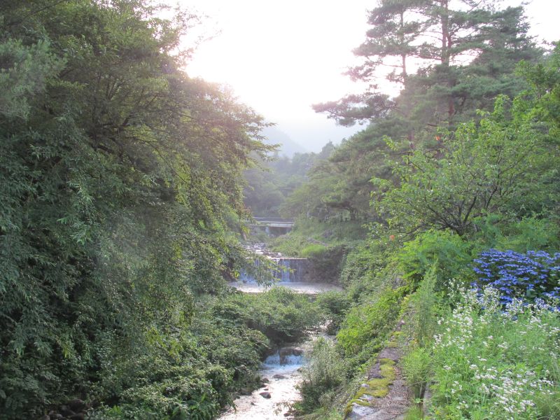 「白い雨」と破壊されたレガシィ_f0076731_19511035.jpg