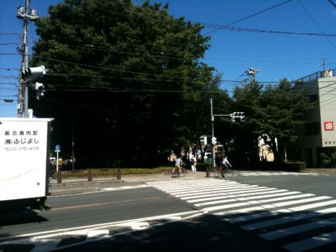 玉川上水緑道(JR三鷹駅〜梶野橋・小金井市)(7月11日)_e0213636_12445265.jpg