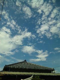 blog:台風一過〜夏の神戸・徳島・北海道〜_a0103940_2238239.jpg