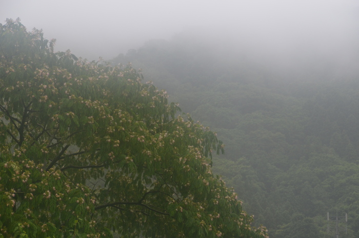 c0202242_11184425.jpg