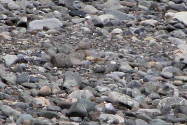 c0269342_21405144.jpg