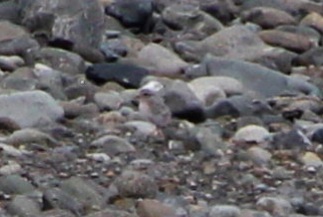 c0269342_21410183.jpg