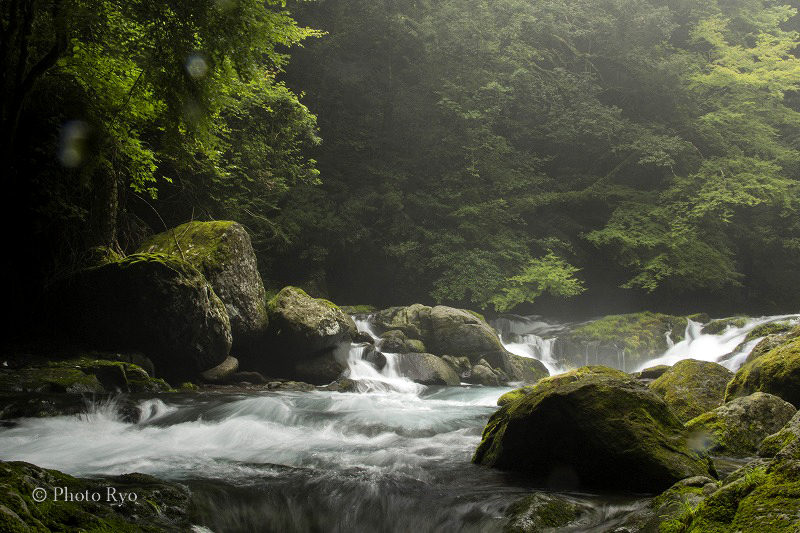 今日の菊池渓谷　7月10日_f0343947_18024435.jpg