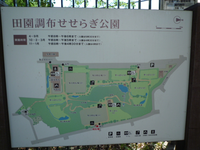 東横線『多摩川』駅徒歩7分新築戸建(田園調布編)_b0246953_19563229.jpg
