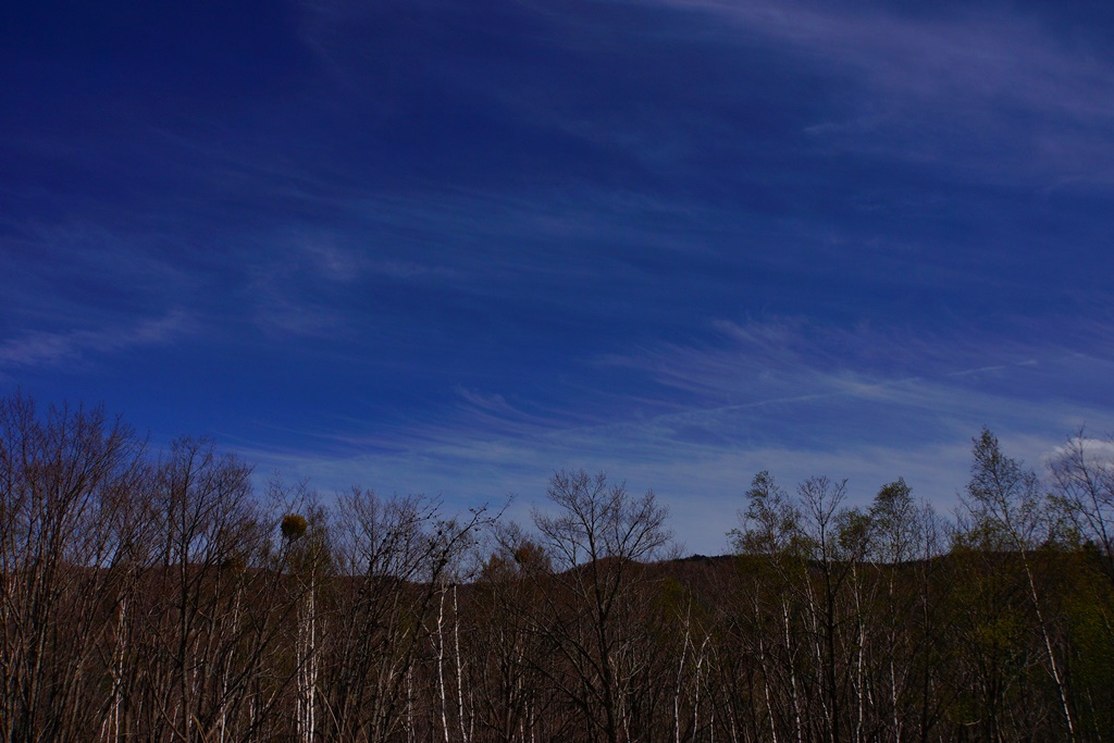 sky & mountains(長野県松本市　乗鞍岳と空と白樺）_e0223456_1029865.jpg