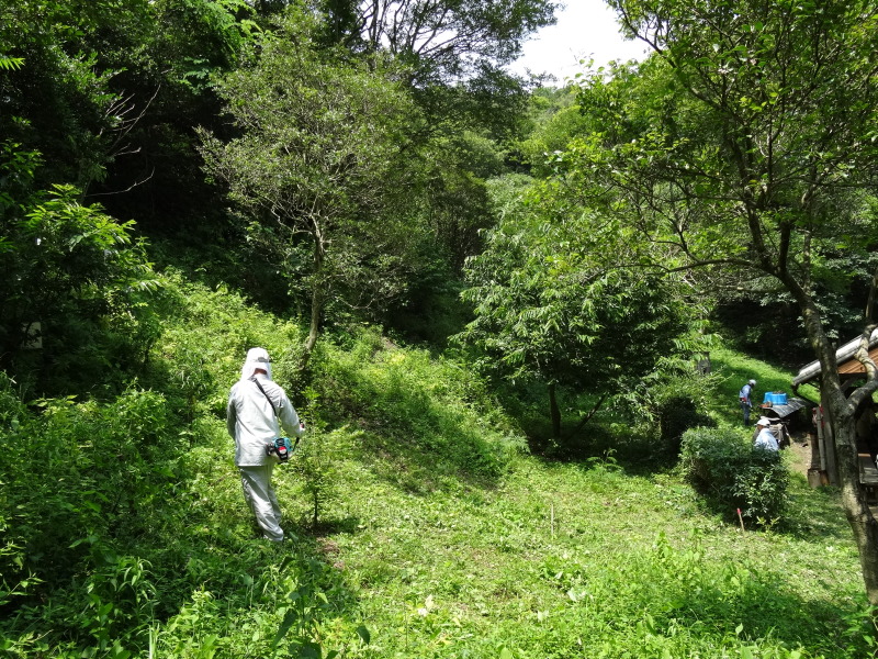c0108460_21563810.jpg