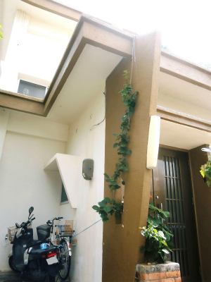 c0180460_10123217.jpg