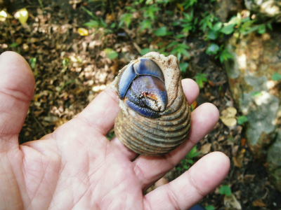 c0180460_1017183.jpg